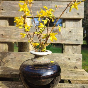 Puede incluir: Un pequeño jarrón redondo de cerámica, con un acabado marrón oscuro y brillante, que contiene ramas de forsythia de color amarillo brillante. El jarrón tiene un borde color crema y está sobre una superficie de madera. La composición evoca la primavera, con unos 15 cm de altura.