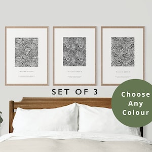 Conjunto de 3 impressões de William Morris: Arte de parede da galeria botânica