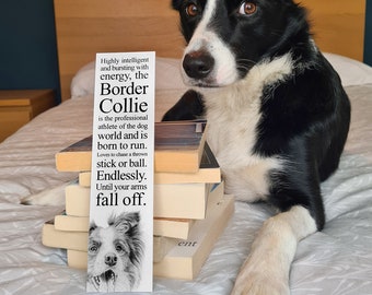 Marcador de página engraçado com um Border Collie - Arte original desenhada à mão.