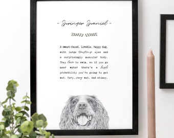 Springer Spaniel Print, Dog Illustration Gift AP517