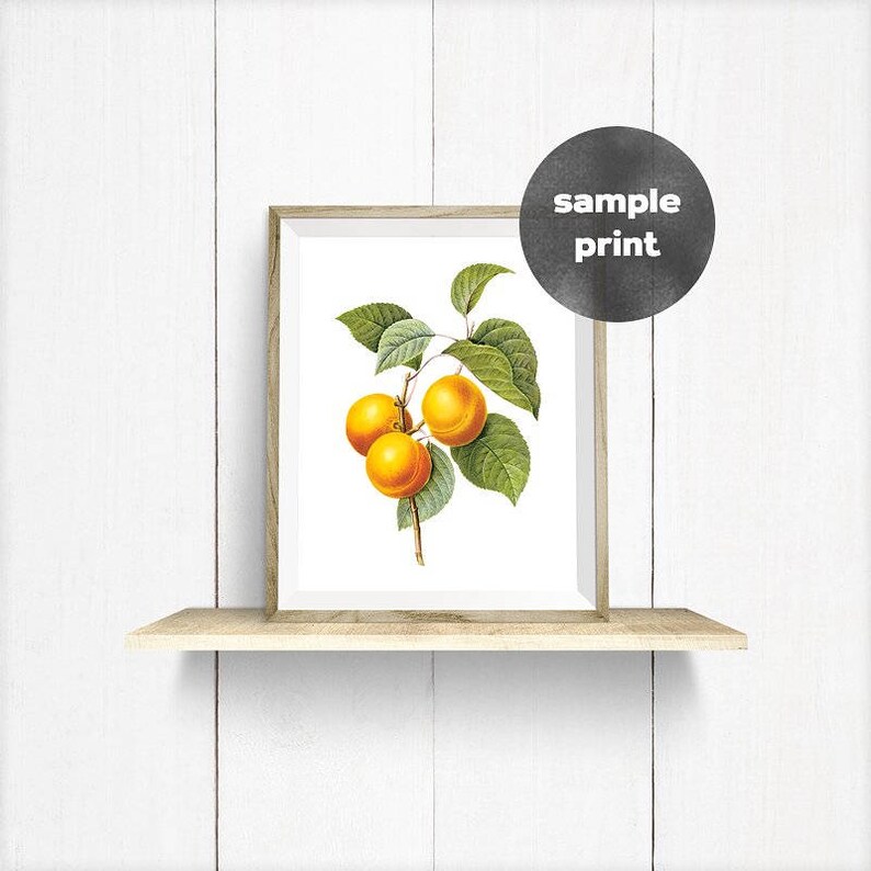 Framezilla 30 Minimal Vertical and Horizontal Frame Mockups to Show