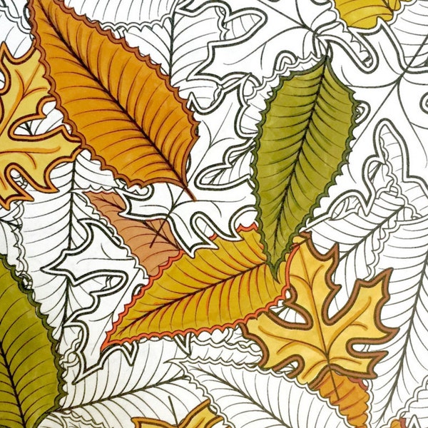 Advanced Coloring Page - Autumn Leaf Collage