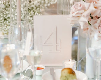 Número de mesa de acrílico, tono sobre tono 3D, independiente, desnudo neutro