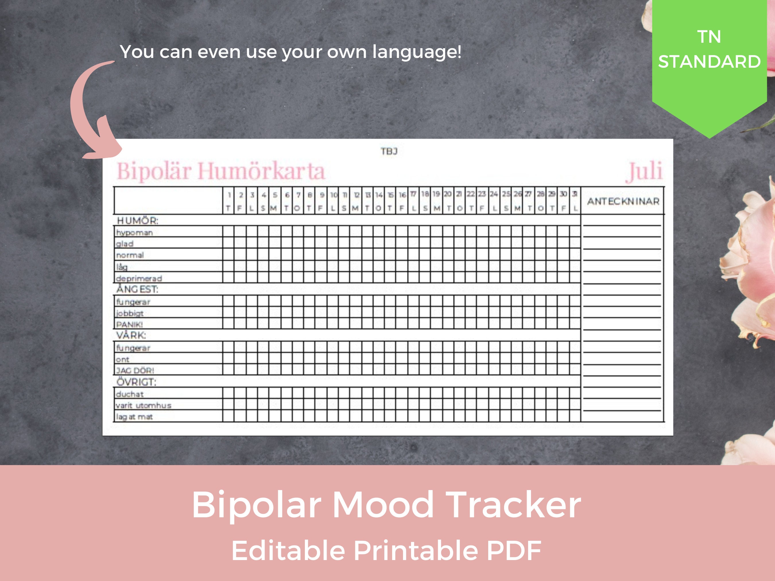 EDITABLE Monthly Bipolar Mood Tracker, Mental Health Tracker, Anxiety ...