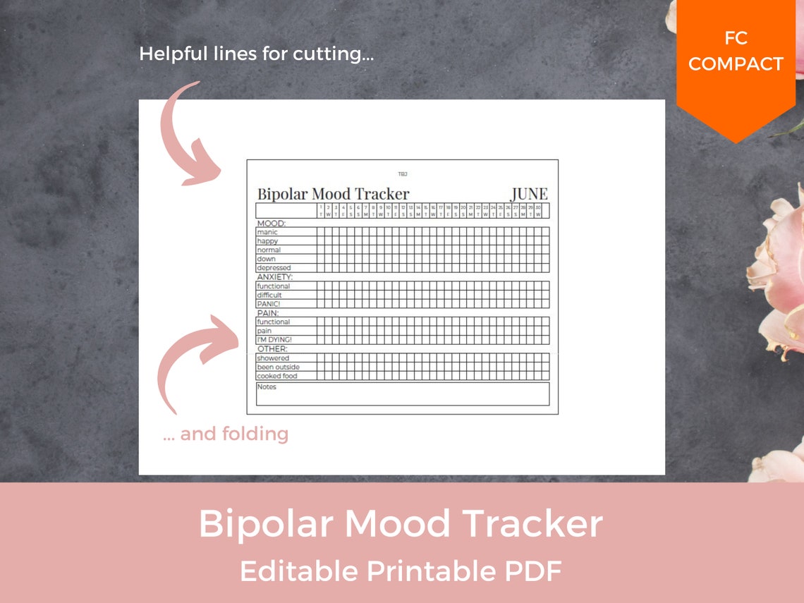 EDITABLE Bipolar Mood Tracker, Mental Health Tracker, Anxiety Tracker