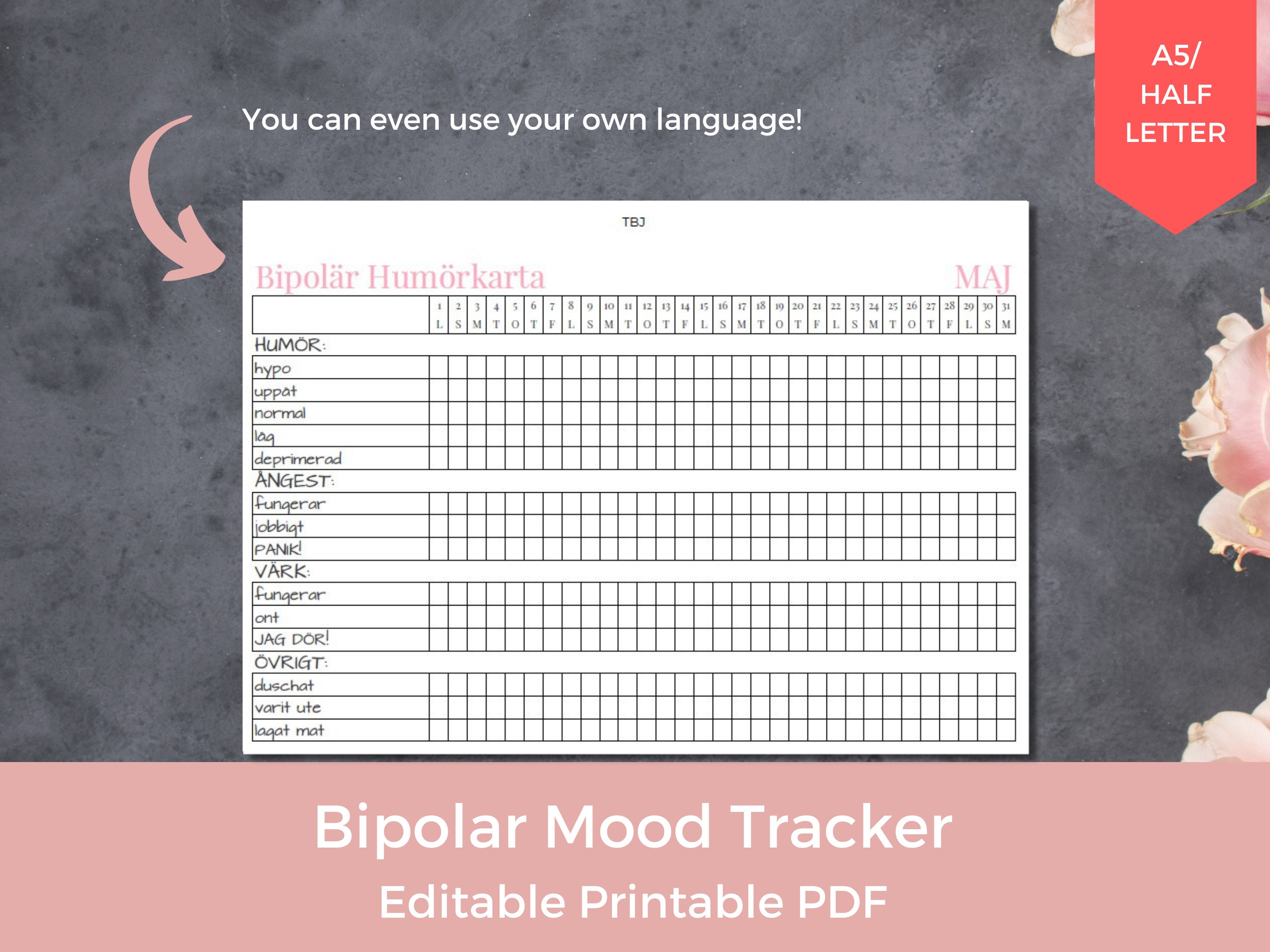 EDITABLE Bipolar Mood Tracker Mental Health Tracker Anxiety Etsy Canada