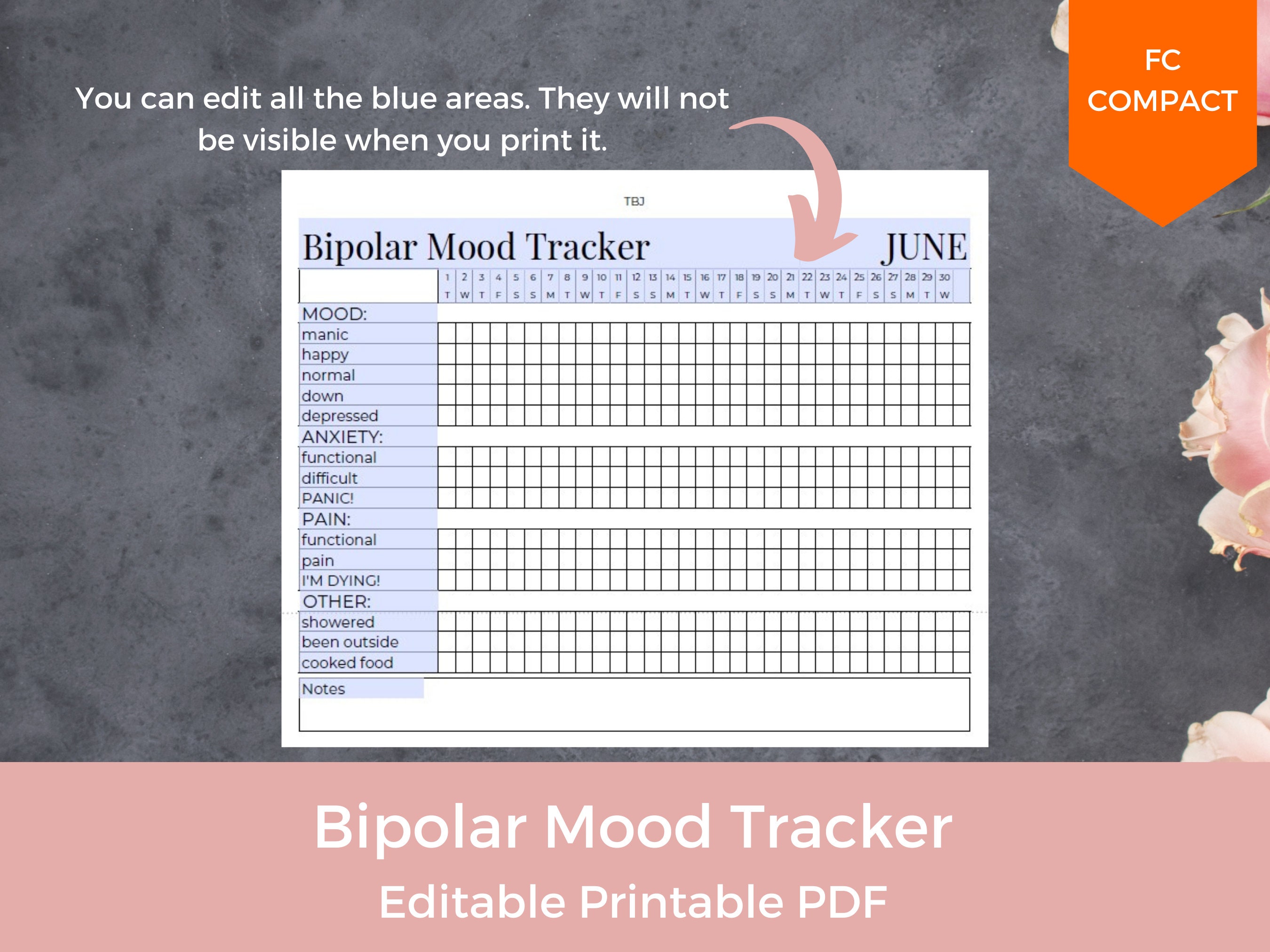 EDITABLE Bipolar Mood Tracker, Mental Health Tracker, Anxiety Tracker