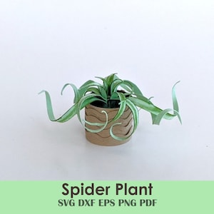 Mini spider plant / scale miniature para casas de muñecas, manualidades, fabricación de tarjetas, cricut SVG template