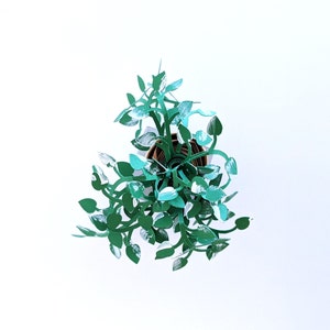 May include: A papercraft plant with green leaves and white accents in a brown pot. The plant is made of paper and is a 3D model.