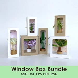 Paquete de caja de regalo de ventana - Caja de exhibición corta, alta y ancha para mini plantas, regalos, artesanías hechas a mano y adornos navideños