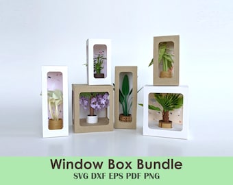 Window Gift Box Bundle – Short, Tall & Wide Display Boxes for Christmas and Holiday Gifting