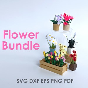 Fascio di modelli di fiori di carta / modelli di design floreale SVG stampabili per macchine da taglio Cricut, miniature della casa delle bambole