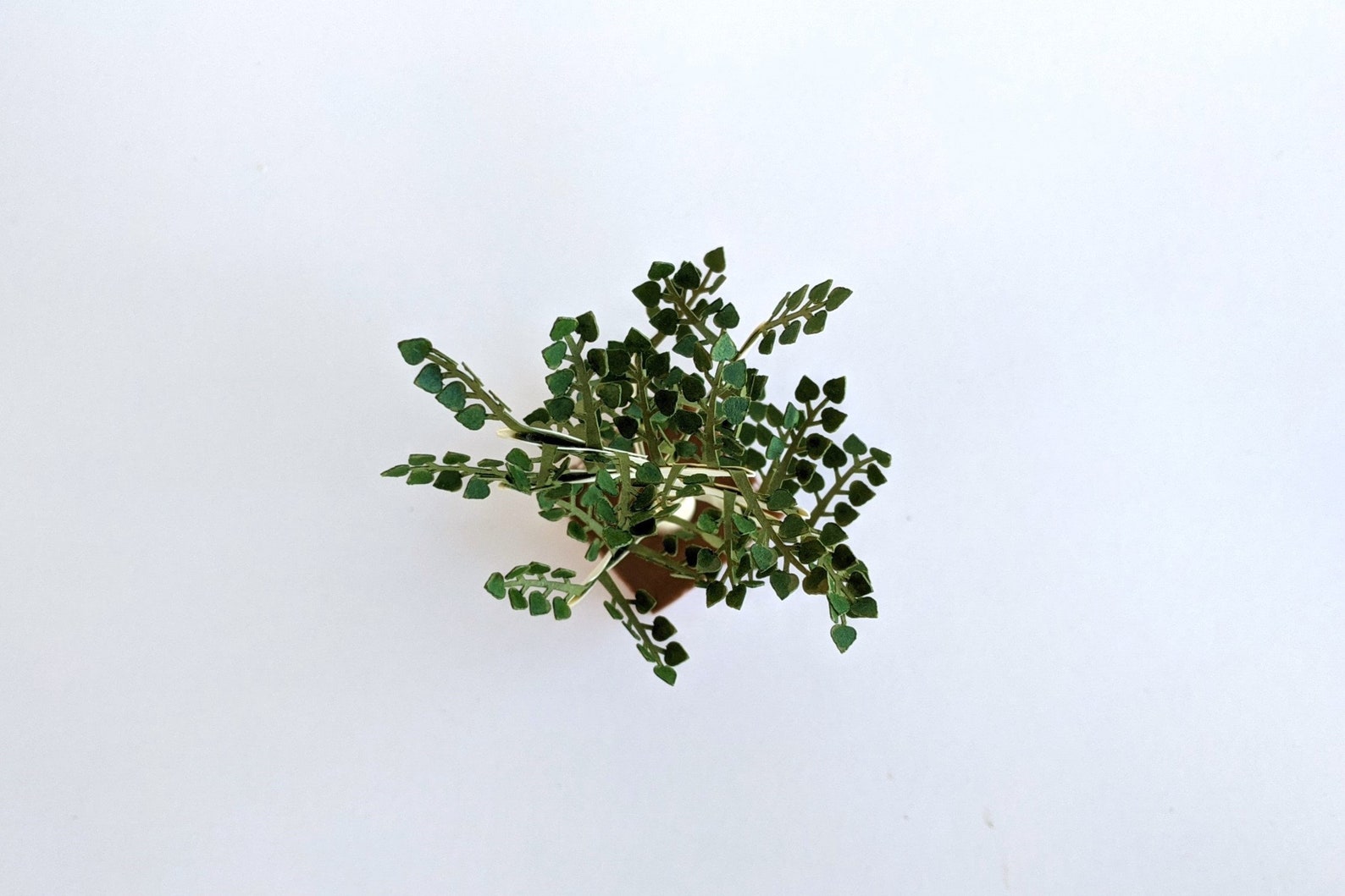 Papercraft Tree With Leaves - Mini Cricut Project | Tree Cutout for ...