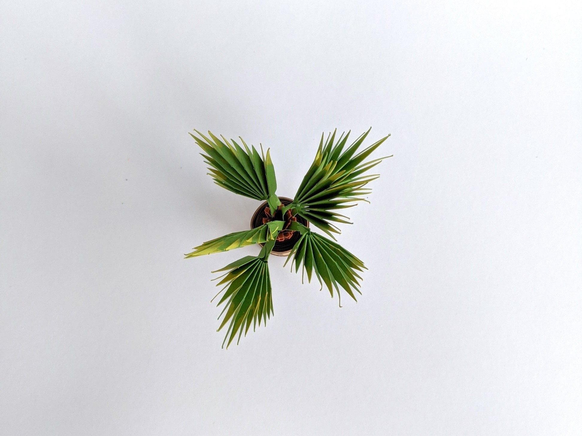 Palm Tree Template | Mini Cricut Papercraft Activity for Crafts ...