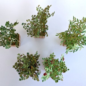 Mini Tree Template Bundle / Papercraft Tree Designs for School Projects ...