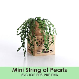 Mini plantilla de bricolaje con cadena de perlas / Planta de papel enrollada para tarjetas, miniaturas, casas de muñecas, centros de mesa y decoraciones para fiestas