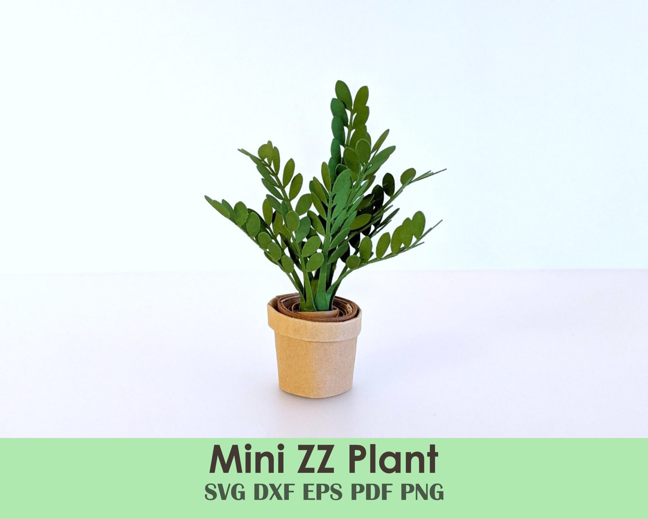 clear planter pot Crystal Clear Aroid Pots  Prevent Root Spiraling with Superior Airflow