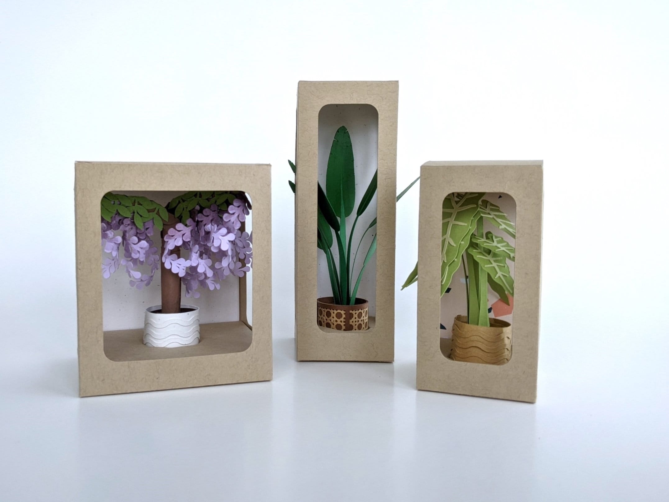 Window Gift Box With String Window Gift Box Bundle – Short, Tall & Wide Display Boxes for Christmas ...