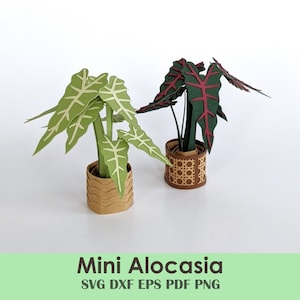 Alocasia Mini Paper House Plant Cut File | Cricut Craft Sjabloon