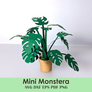 Mini Monstera kamerplant afdrukbare sjabloon DIY | Minibureauplant voor kaarten, mini's en poppenhuis