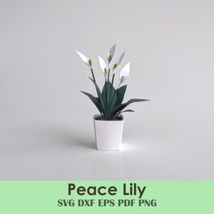 Mini Peace Lily Modello per Cricut e Silhouette / Rolled Flower Cut File