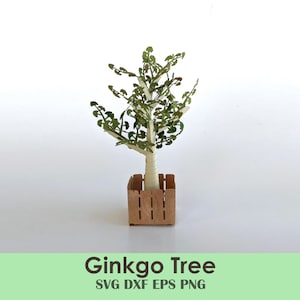 Ginkgo Baum Bastelvorlage | Mini Bonsai BaumAusschnitt für Schulprojekte, Science Fair, Dioramas, Tabletop Games