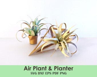 Air Plant and Geometric Planter Template | Rolled Papercraft House Plant for Cards, Minis, Dollhouse, Centerpieces, Party Decorations