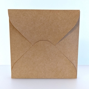 May include: A brown paper envelope with a flap.