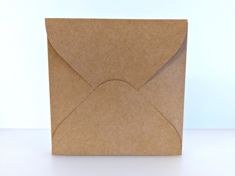 May include: A brown paper envelope with a flap.