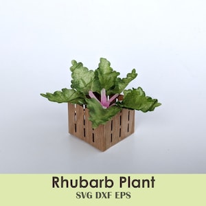Mini Rabarber Plant | Schaal Miniatuur Veggie voor Poppenhuizen Tuin, Herfst Ambachten, Halloween Dioramas
