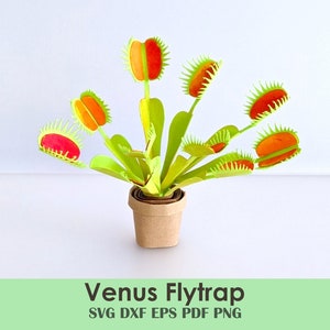 Plantilla de papel imprimible de Venus atrapamoscas para manualidades de papel DIY / Planta de papel enrollada para tarjetas, miniaturas, casas de muñecas, centros de mesa y decoraciones de fiesta
