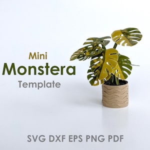 Plantilla realista de Monstera / Mini planta de interior
