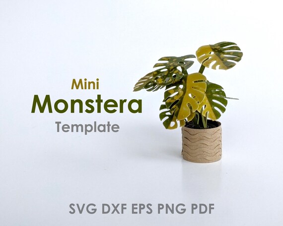 pittieri philodendron Philodendron Henry-Pittieri – Odd Leaf main image 0