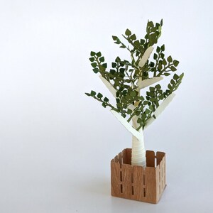 Mini Tree Template Bundle / Papercraft Tree Designs for School Projects ...