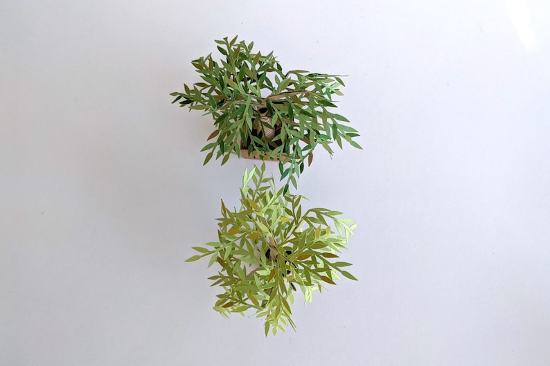 Willow Tree Papercraft Template Mini Weeping Willow Tree DIY Etsy