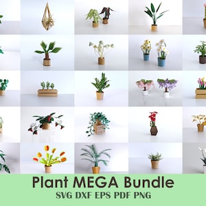 Cricut Paper Plant-bundel | Papercraft Mini Plant Activiteit om te knutselen | Poppenhuis, broeikas, paasknutselen