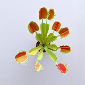 Venus Flytrap Printable Papercraft Template DIY | Rolled Papercraft ...