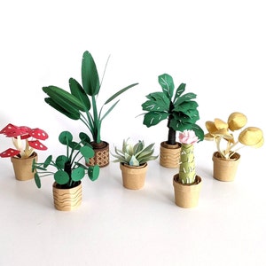 Cricut Paper Plant Bundle Papercraft Mini Plant Activity for Crafting ...