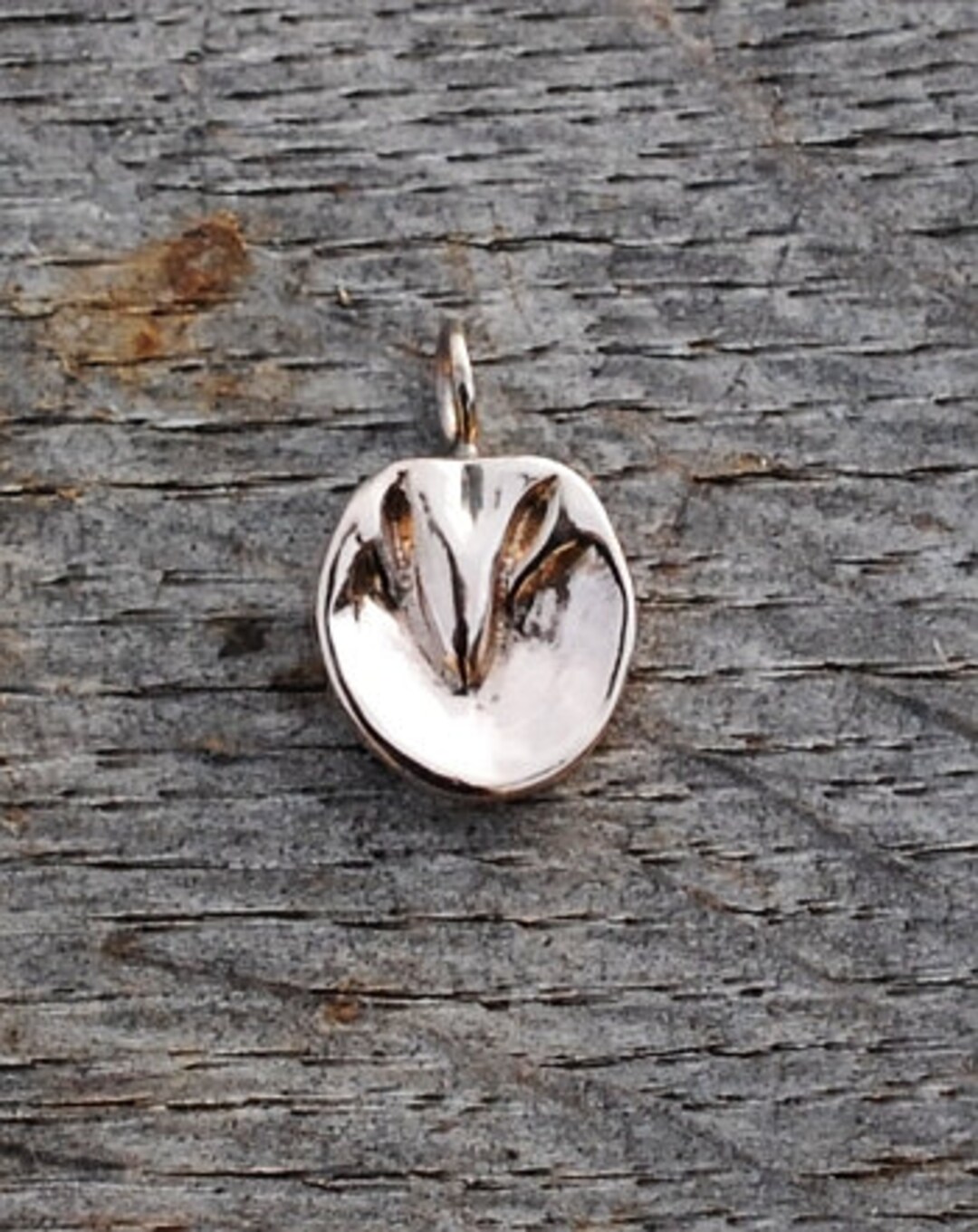 Horse Hoof Pendant, Silver Horse Hoof, Gold Horse Hoof,barefoot Pendant, Bare Hoof Pendant, Hoof