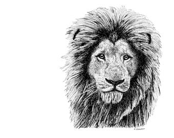 Lion Print from Original Pen and Ink Drawing, black and white art, animal prints, animal art, animal illustrations