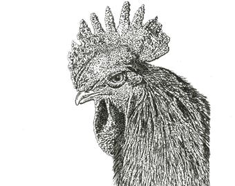 Rooster Print from Original Pen and Ink drawing, Black and white art