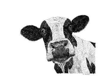 Cow Art, Limited Edition Print from Original pen & ink drawing, Animal art, animal illustrations, black and white art, wall art