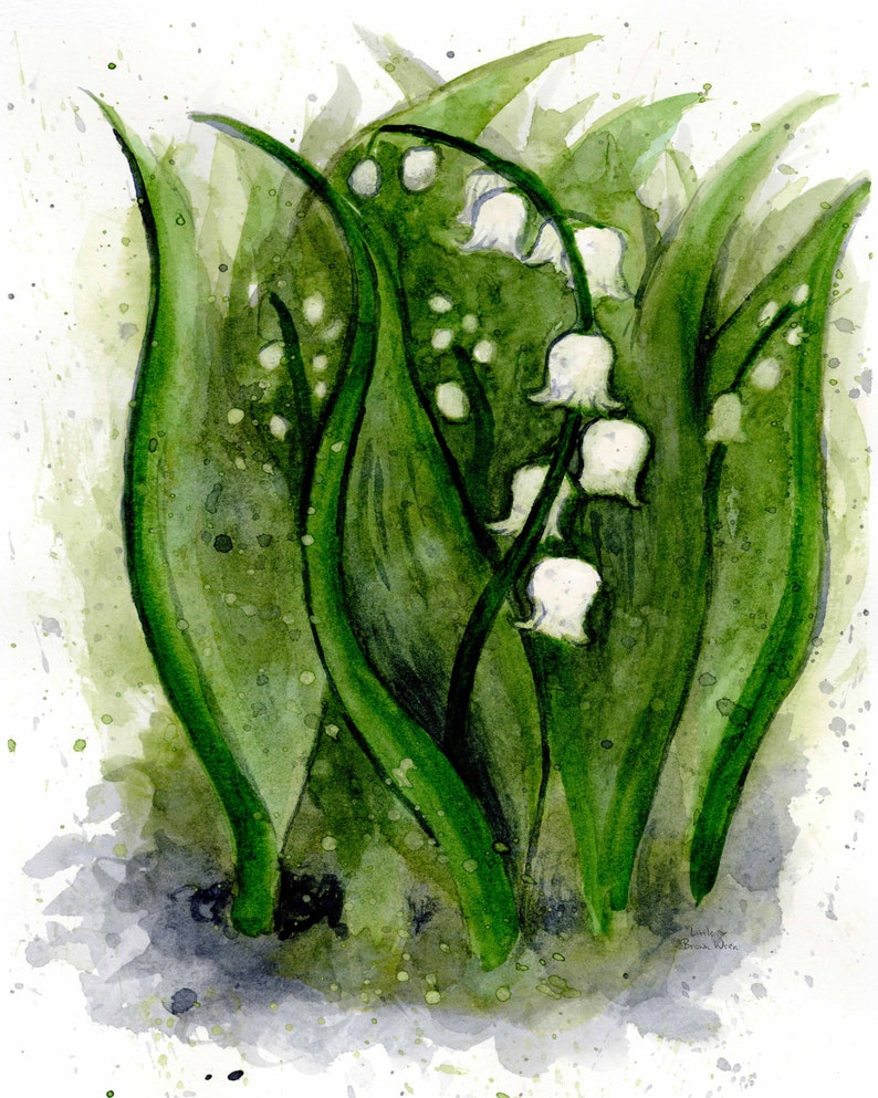 Giclee Fine Art Print Lily of the Valley Original Watercolor | Etsy