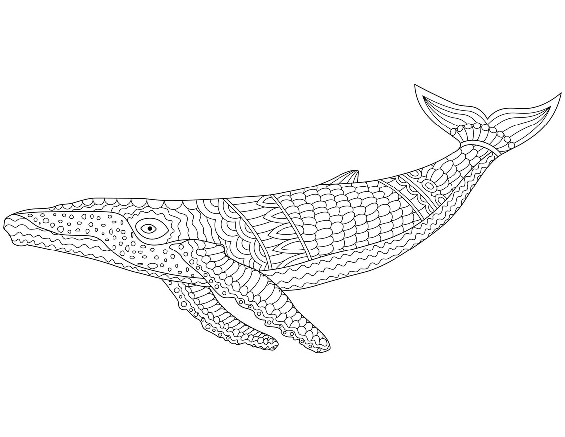 Humpback Whale Coloring Page - Etsy