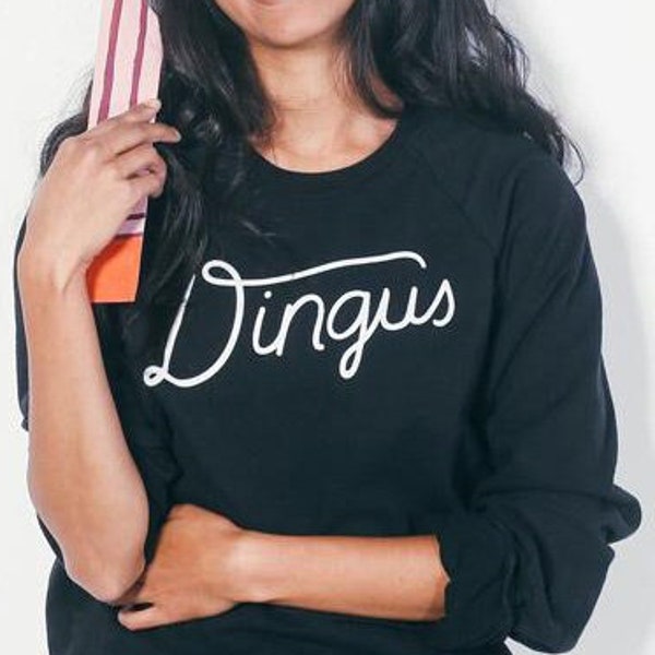 Dingus Sweatshirt Unisex | Dr Steve Brule, Ya Dingus, John C Reilly, Gift for Friend, Humorous Sweatshirt