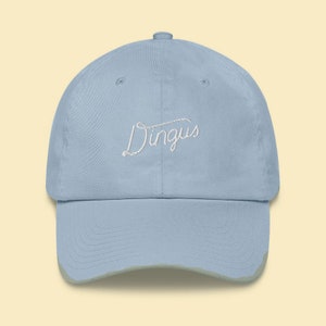 May include: Pale blue baseball cap featuring the word "Dingus" embroidered in white script. The cap has a curved peak and a distressed, faded appearance around the edges.