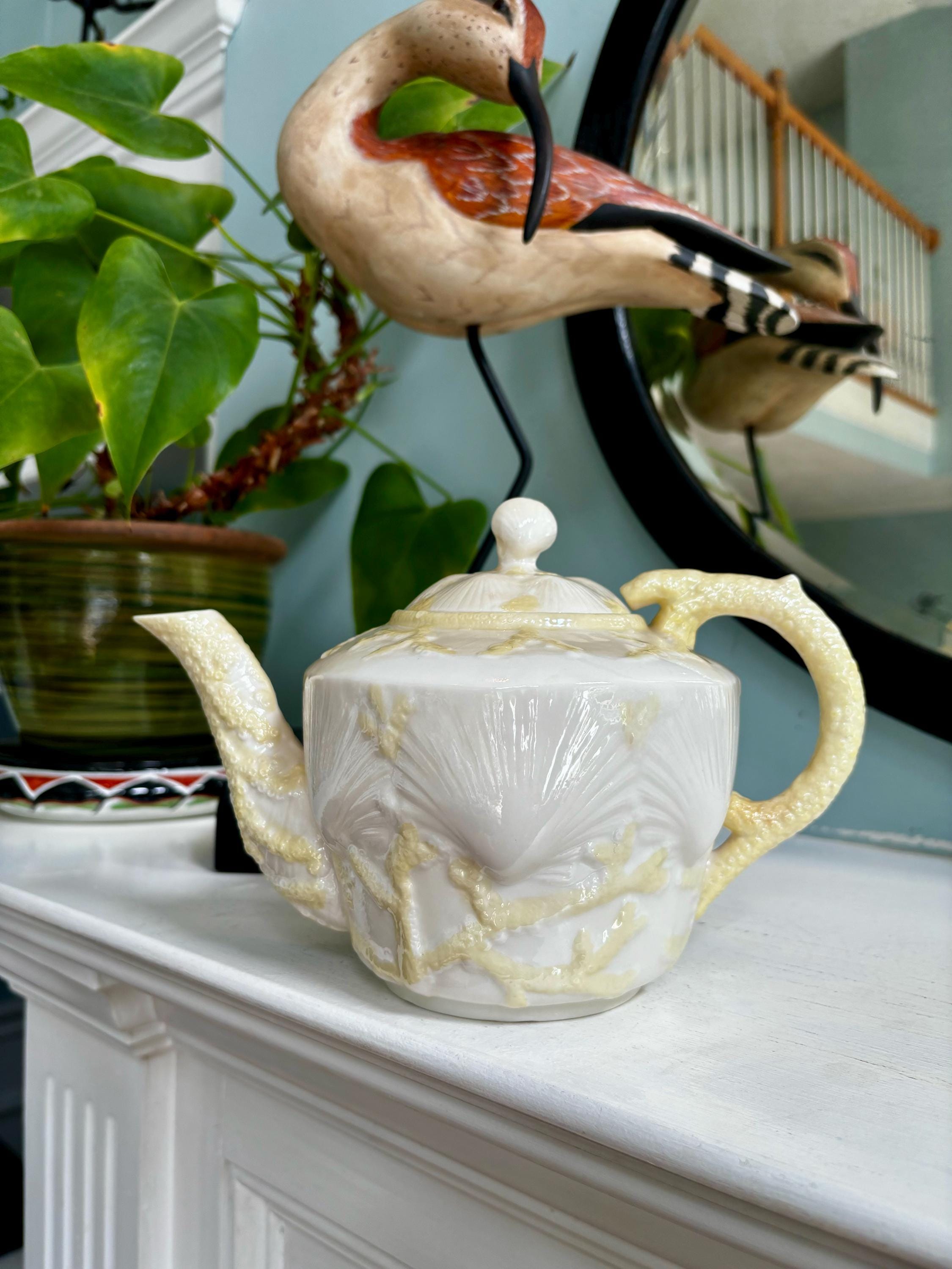 Belleek Sea Shell - Etsy