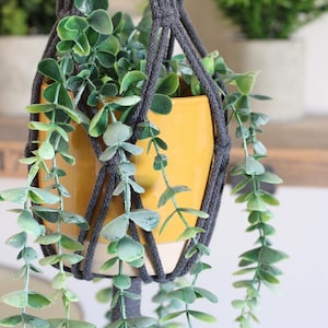May include: A yellow ceramic planter with a green leafy plant hanging from a grey macrame plant hanger.