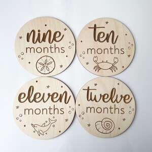 May include: Four circular wooden milestone plaques with engraved text and marine illustrations. The plaques display "nine months", "ten months", "eleven months", and "twelve months". Each features a different sea element: a sand dollar, crab, dolphin, and seashell.