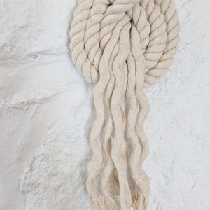 THE PIPA Small Modern Macrame Wall Hanging in Camel/Brown Wall Knot Rope Art Pipa Knot Fiber Art image 2
